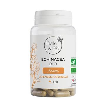Echinacea Bio