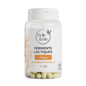 Ferments Lactiques