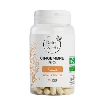 Gingembre Bio