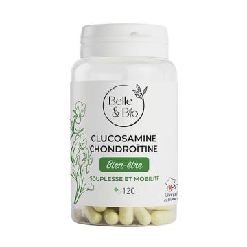 Glucosamine Chondroïtine