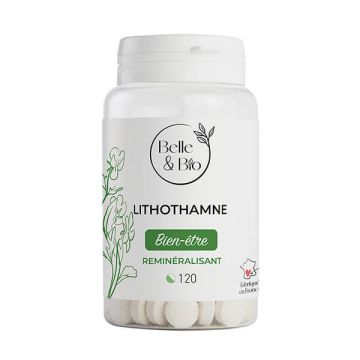 Lithothamne