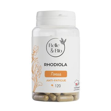 Rhodiola