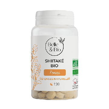 Shiitake Bio