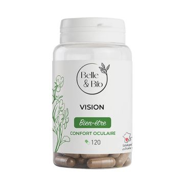 Vision
