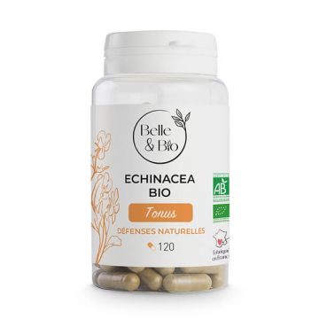 Echinacea Bio