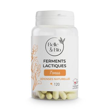 Ferments Lactiques