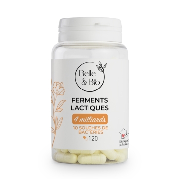 Ferments lactiques