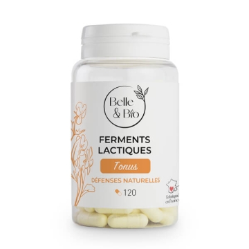 Ferments lactiques