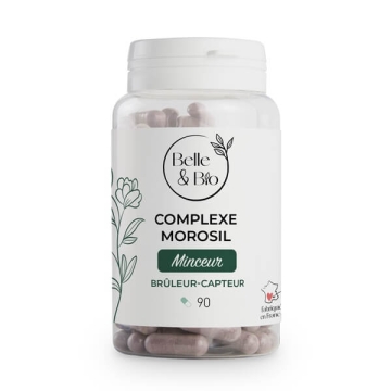Complexe Morosil