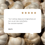 Ail Bio