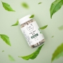 Thé Vert Bio