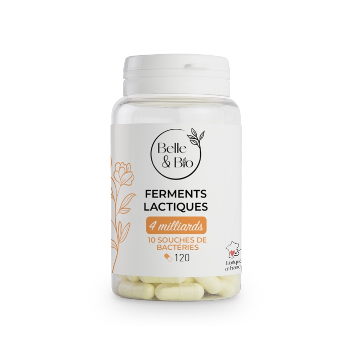 Ferments lactiques